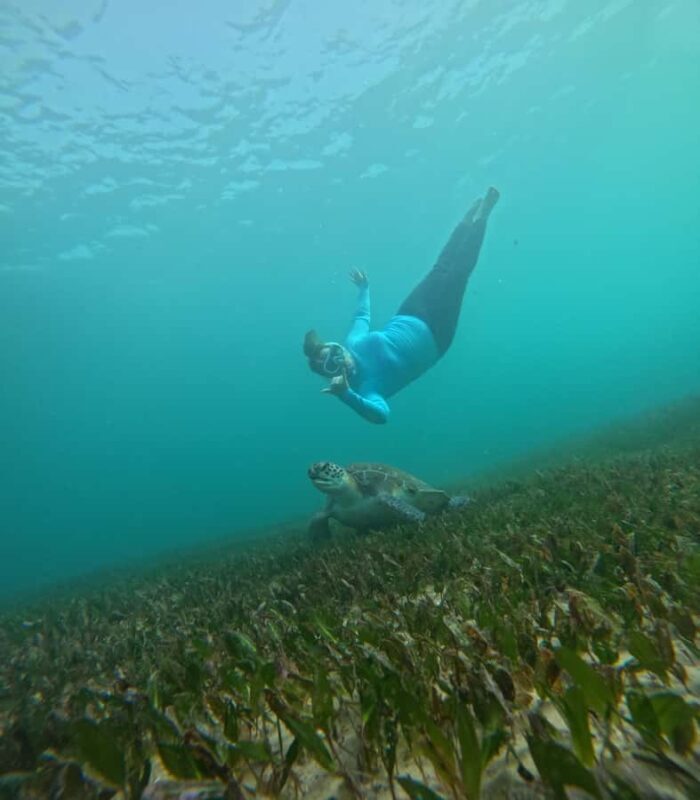Manly Beach Guided Snorkeling Tours - The Ideal Snorkeling Tour for Who?