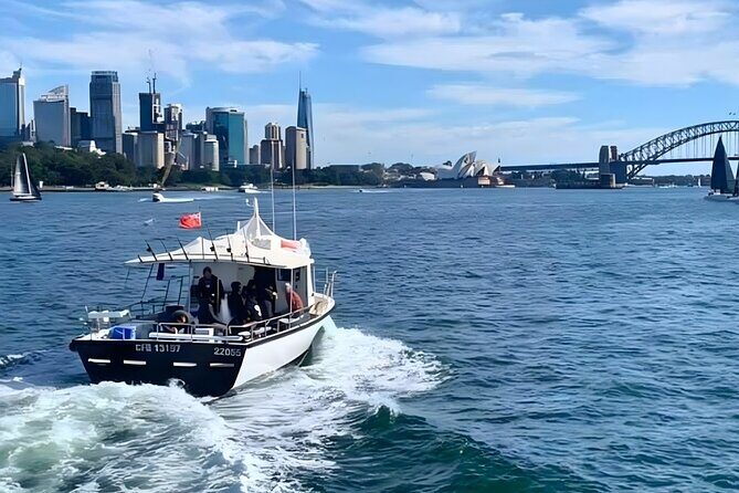Manly Catch and Cook Ocean to Plate Experience - Exploring Sydney’s Coastal Charm