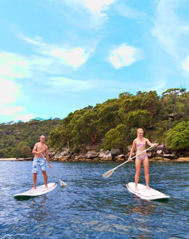Manly Stand Up Paddle Board Hire - The Real Value of This SUP Tour