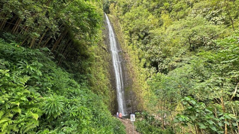 Manoa Falls eBike to Hike - An Introduction to the Tour