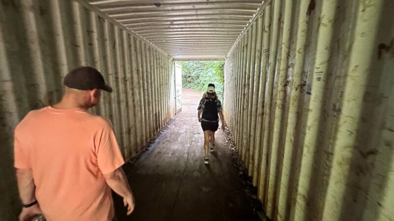 Manoa Falls eBike to Hike - How Does It Value Compare?