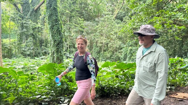 Manoa Falls eBike to Hike - The Bottom Line