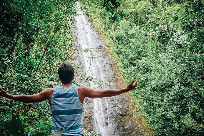 Manoa Waterfall Hike From Waikiki With Healthy Lunch Included - Why We Think This Tour Is Worth Considering