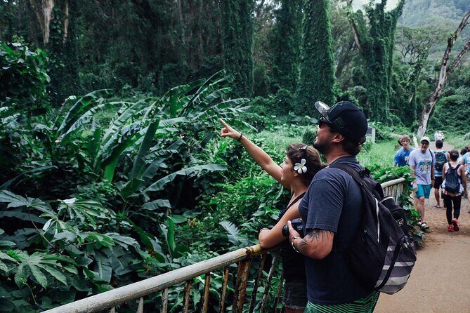Manoa Waterfall Hike From Waikiki With Healthy Lunch Included - Potential Drawbacks