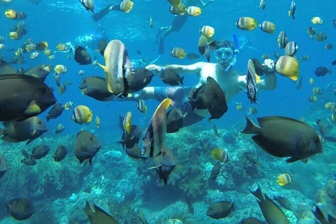 Manta Bay Snorkeling Adventure with Kelingking Beach Nusa Penida All Inclusive - Key Points