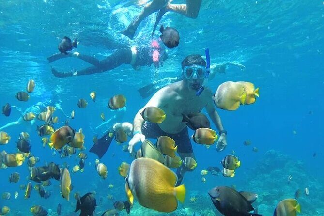 Manta Bay Snorkeling Adventure with Kelingking Beach Nusa Penida All Inclusive - What You Can Expect from the Tour
