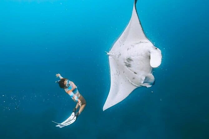 Manta Point Snorkeling & West Nusa Penida Island Day Tour - An In-Depth Look at the Experience