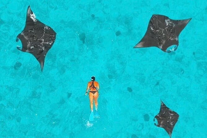 Manta Point Snorkeling & West Nusa Penida Island Day Tour - Final Thoughts: Is It Worth It?