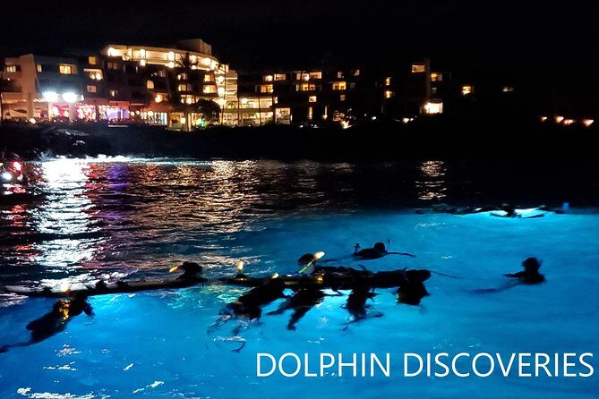 Manta Ray Night Snorkel at Kona, Big Island - FAQs