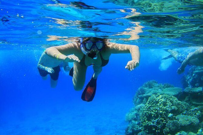 Manta Ray Snorkel Experience - FAQ