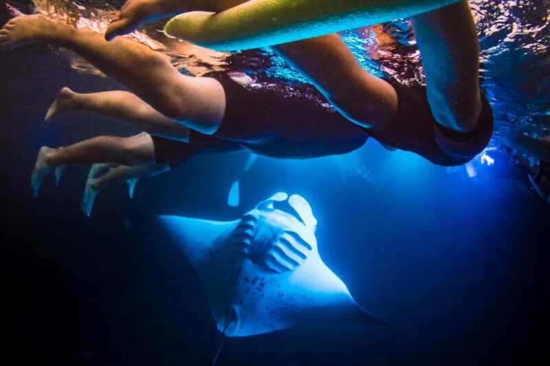 Manta Ray Snorkel in Kailua-Kona with Hot Cocoa - Key Points