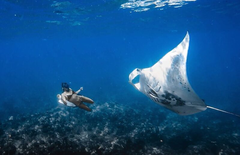 Manta Ray Snorkel in Kailua-Kona with Hot Cocoa - The Details That Make This Tour Stand Out