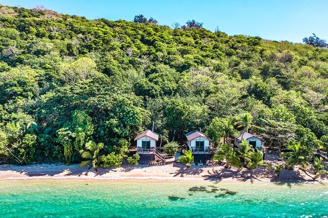 Mantaray Island Day Trip with Lunch - An In-Depth Look at the Mantaray Island Day Trip