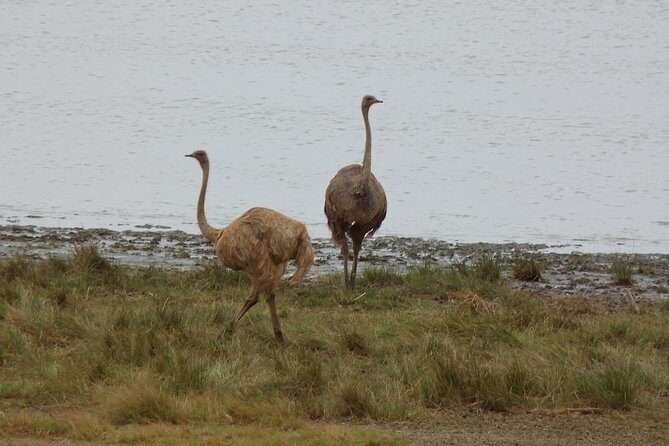 Manyara and Ngorongoro Crater - Analyzing the Value