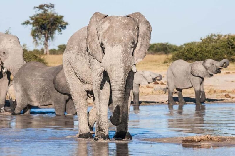Maputo: 2-Day Hlane National Park Adventure - FAQ