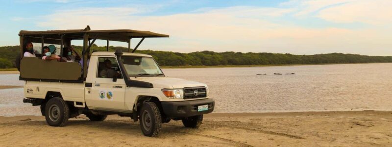 Maputo Reserve National Park: Epic One-Day Safari - An In-Depth Look at the Tour Experience