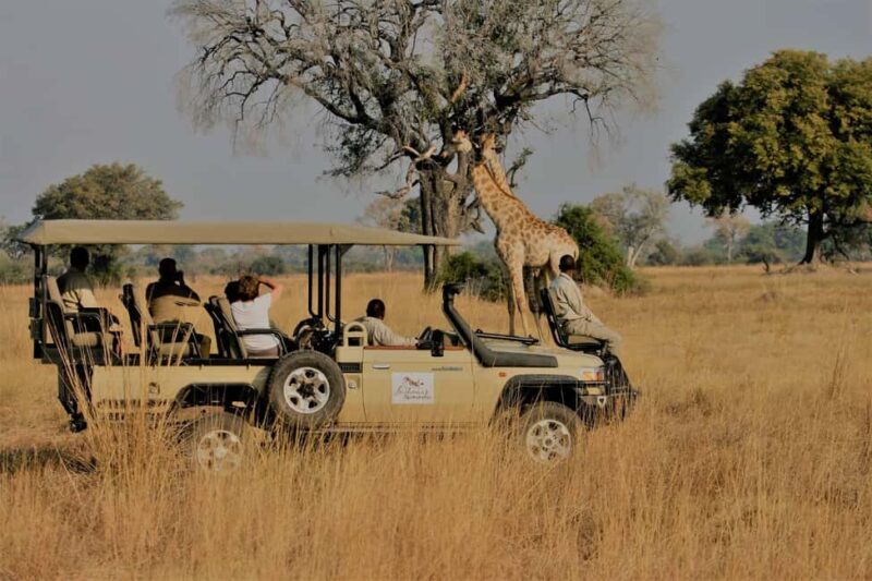 Maputo Reserve National Park: Epic One-Day Safari - The Value of This Safari