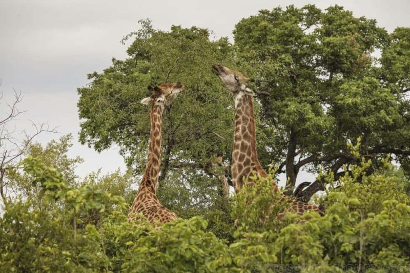 Maputo Special Reserve 3-Day Trip - Who Should Consider This Tour?