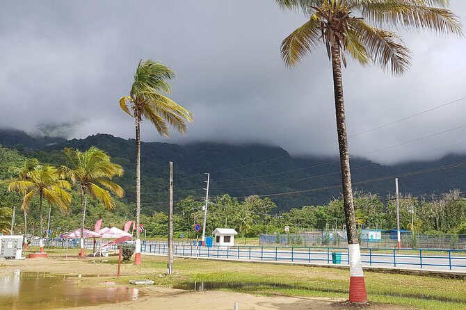 Maracas Beach - Who Should Take This Tour?