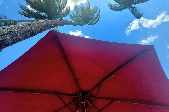Maracas Beach Excursion & City Pass by tour - What the Reviews Say