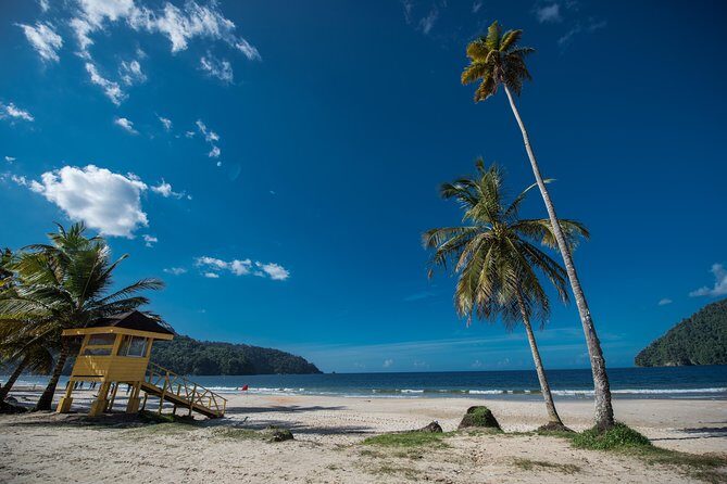 Maracas Beach Trip - Why This Tour Stands Out