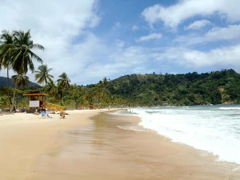 Maracas: Day Trip to Maracas Beach from Port of Spain - Key Points