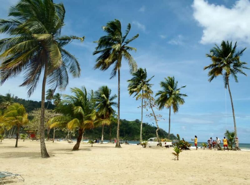 Maracas: Day Trip to Maracas Beach from Port of Spain - The Sum Up