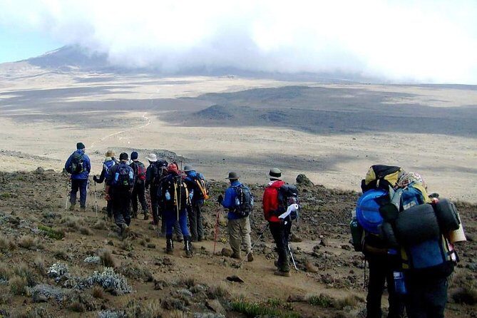 Marangu Route 6 Days 5 Nights/Kilimanjaro Climb - The Journey Begins: From Moshi to Mandara Hut