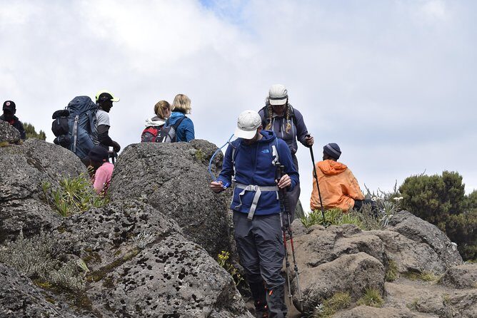 Marangu Route 6 Days 5 Nights/Kilimanjaro Climb - The Big Climb: Reaching the Uhuru Peak