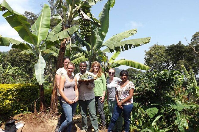Marangu waterfall & Coffee making Cultural Tour | BURIGI CHATO SAFARIS CO LTD - Duration, Logistics, and Value