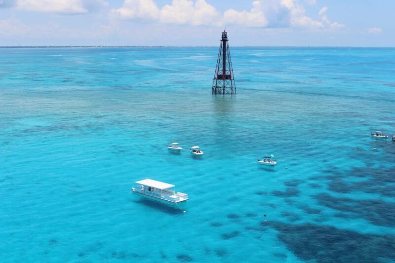 Marathon: Snorkeling Adventure by Boat at Sombrero Reef - Key Points