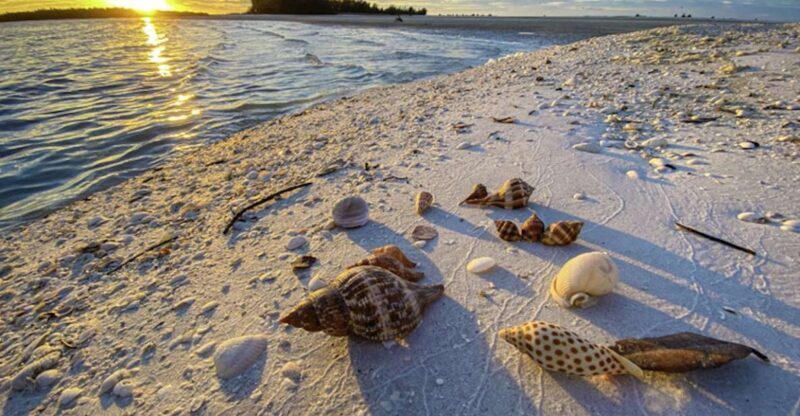 Marco Island: 2 Private Hour Sunset Boat Tour - Pricing and Value