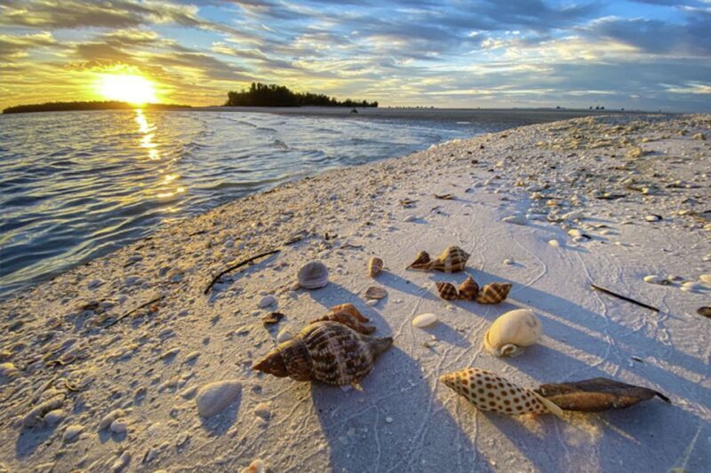 Marco Island: 2 Private Hour Sunset Boat Tour - The Sum Up: Is It Worth It?