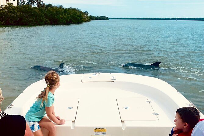Marco Island and 10,000 Islands Sightseeing with Dolphin Tour - Introduction: A Captivating Tour Through Marco Islands Waterways