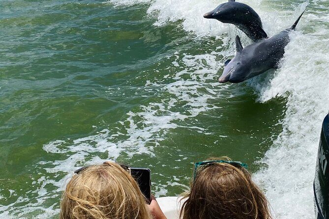 Marco Island and 10,000 Islands Sightseeing with Dolphin Tour - The Sum Up: Who Will Love This Experience?