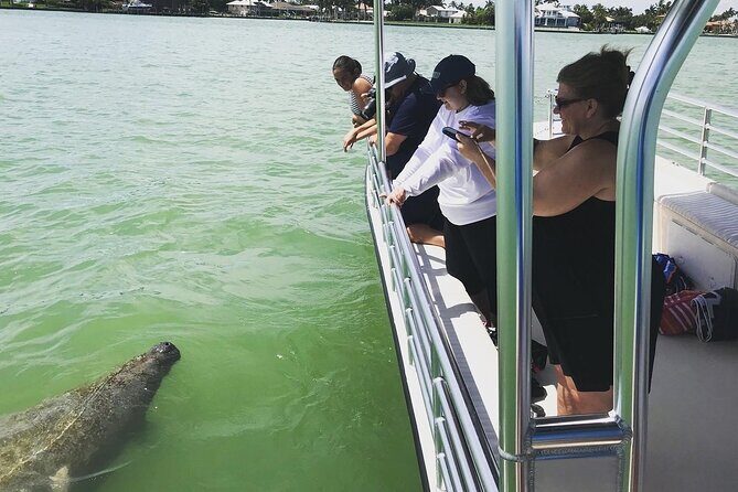 Marco Island Dolphin Sightseeing Tour - The Sum Up: Is It Worth Your Time and Money?