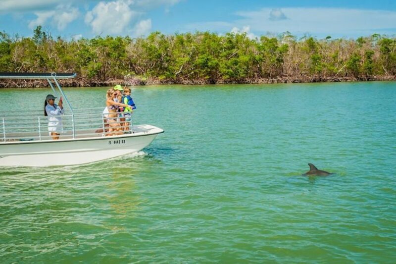 Marco Island: Dolphin-Watching Boat Tour - Final Thoughts