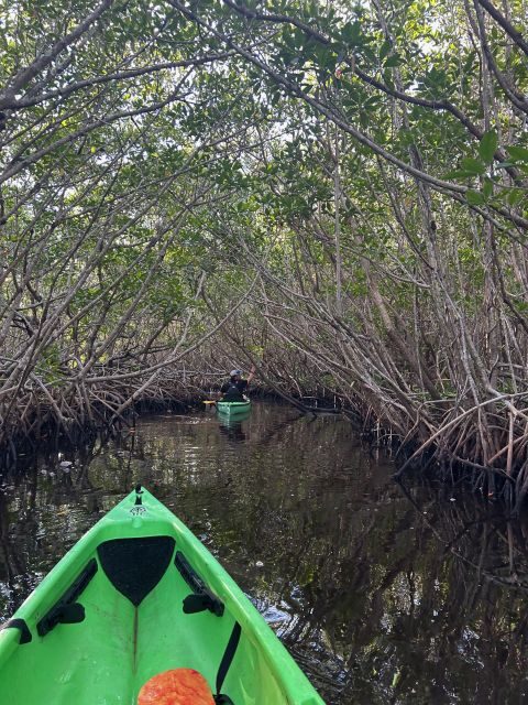 Marco Island: Mangrove Maze Kayak Tour (2hrs) - The Experience in Detail
