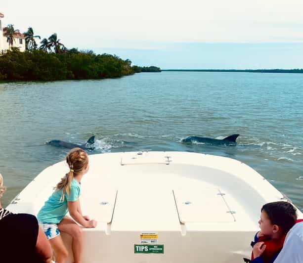 Marco Island: Private Shelling & Dolphin Excursion - An In-Depth Look at the Tour Experience