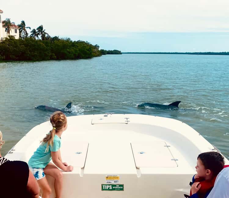 Marco Island: Private Shelling & Dolphin Excursion - The Experience in Practice