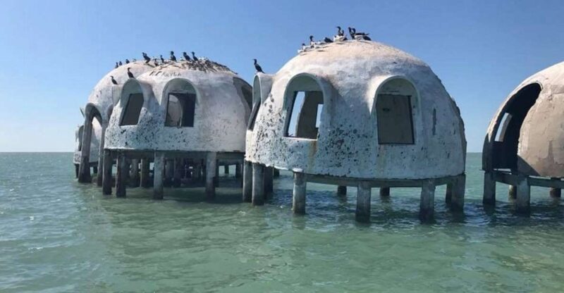 Marco Island: Ten Thousand Islands Shelling & Dolphin Tour - Final Thoughts