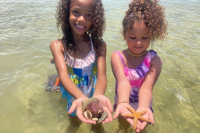 Marco Island Wildlife Sightseeing and Shelling Tour - What You Can Expect: A Complete Breakdown