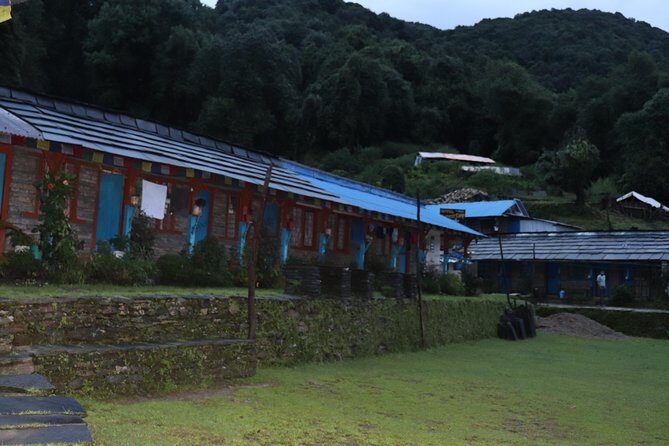 Mardi Himal Base Camp Trek (5 Days) - An In-Depth Look at the Mardi Himal Trek