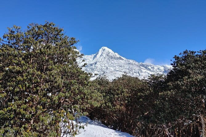 Mardi Himal Trek - The Itinerary – Day by Day
