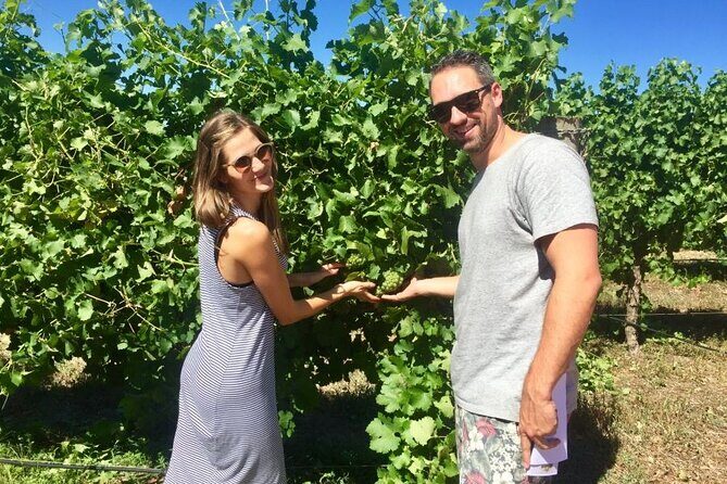 Margaret River Beer & Wine Adventure (departs Dunsborough/Busselton) - FAQ