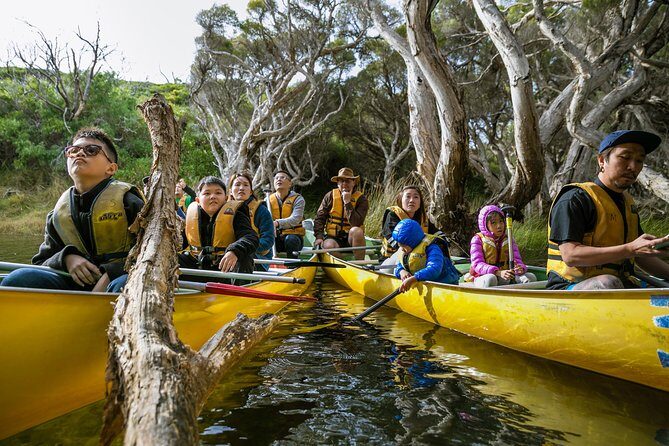 Margaret River Canoe Tour Including Australian Wild Food Lunch - What is the Margaret River Canoe Tour Exactly?