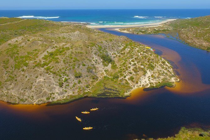 Margaret River Canoe Tour Including Australian Wild Food Lunch - The Sum Up