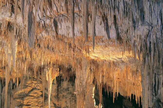Margaret River, Caves, Wine and Cape Leeuwin Lighthouse Tour from Perth - An In-Depth Look at the Tour Experience