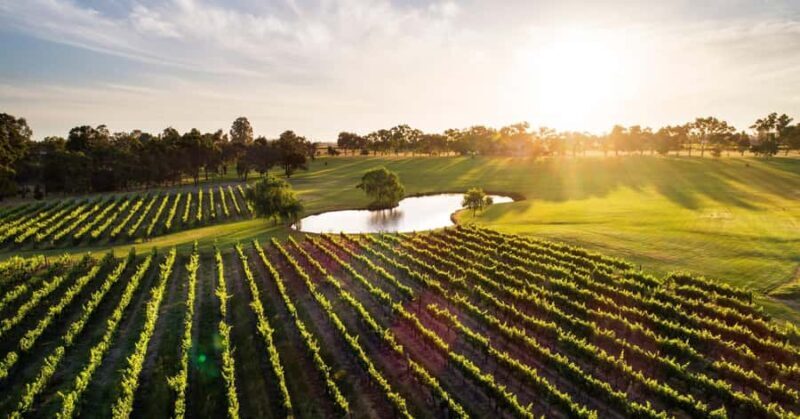 Margaret River, Chocolate, Wine & Coast Day Trip from Perth - Practical Details & Tips