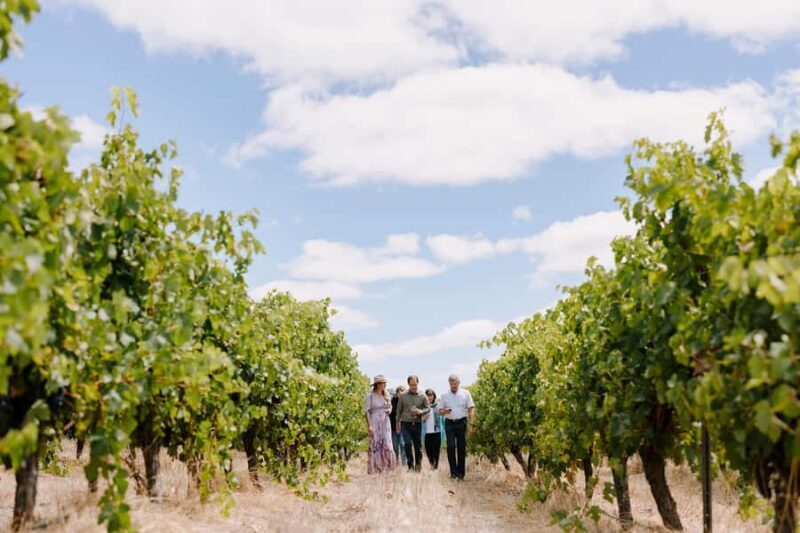 Margaret River, Chocolate, Wine & Coast Day Trip from Perth - FAQ